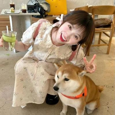 玫瑰